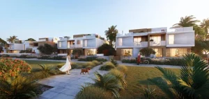 مشروع فاى سودك الشيخ زايد