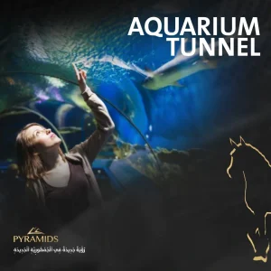 ميجا مول شركة بيراميدز