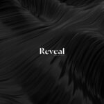 Reveal_Launch_Brochure (1)_page-0001