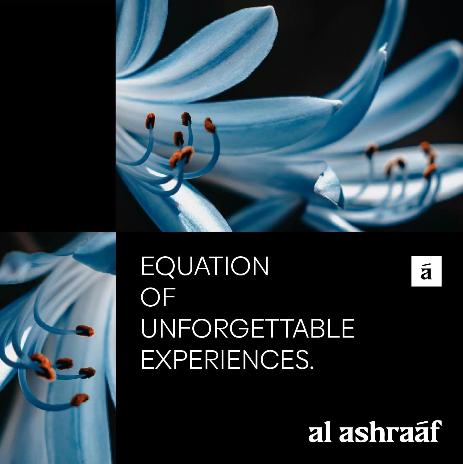 مشروع موقع كمبوند هوب التجمع الخامس