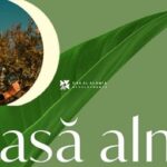 كمبوند اكاسا الما التجمع السادس Acasa alma New Cairo