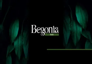 مول بيجونيا ووك التجمع الخامس Begonia walk New Cairo