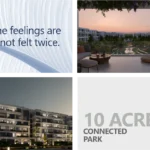 1 (1)