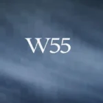 مشروع W55 التجمع الخامس W55 New Cairo (2)