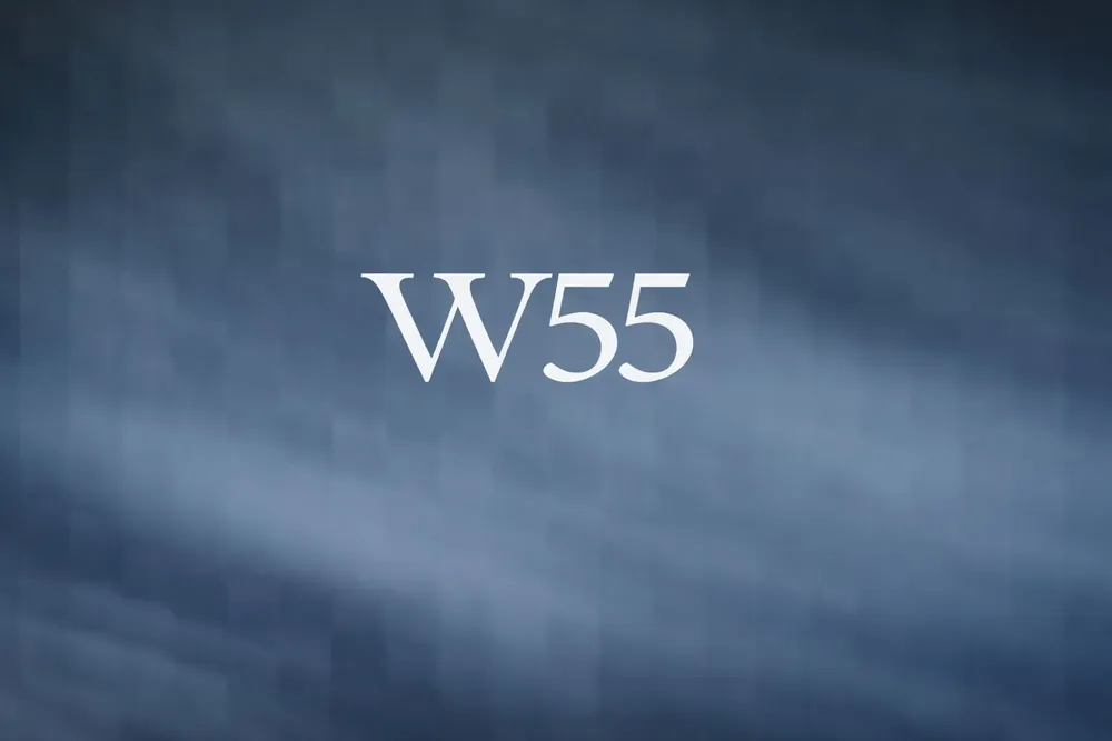 لو مشروع W55 التجمع الخامس W55 New Cairo