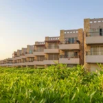 بلومار العين السخنة